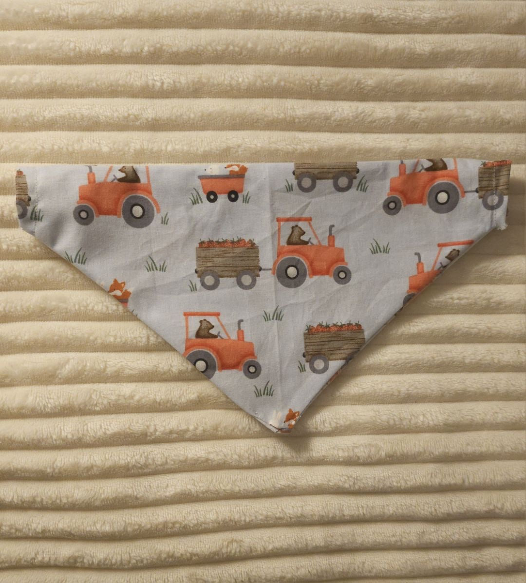 Bear-ly Sweet