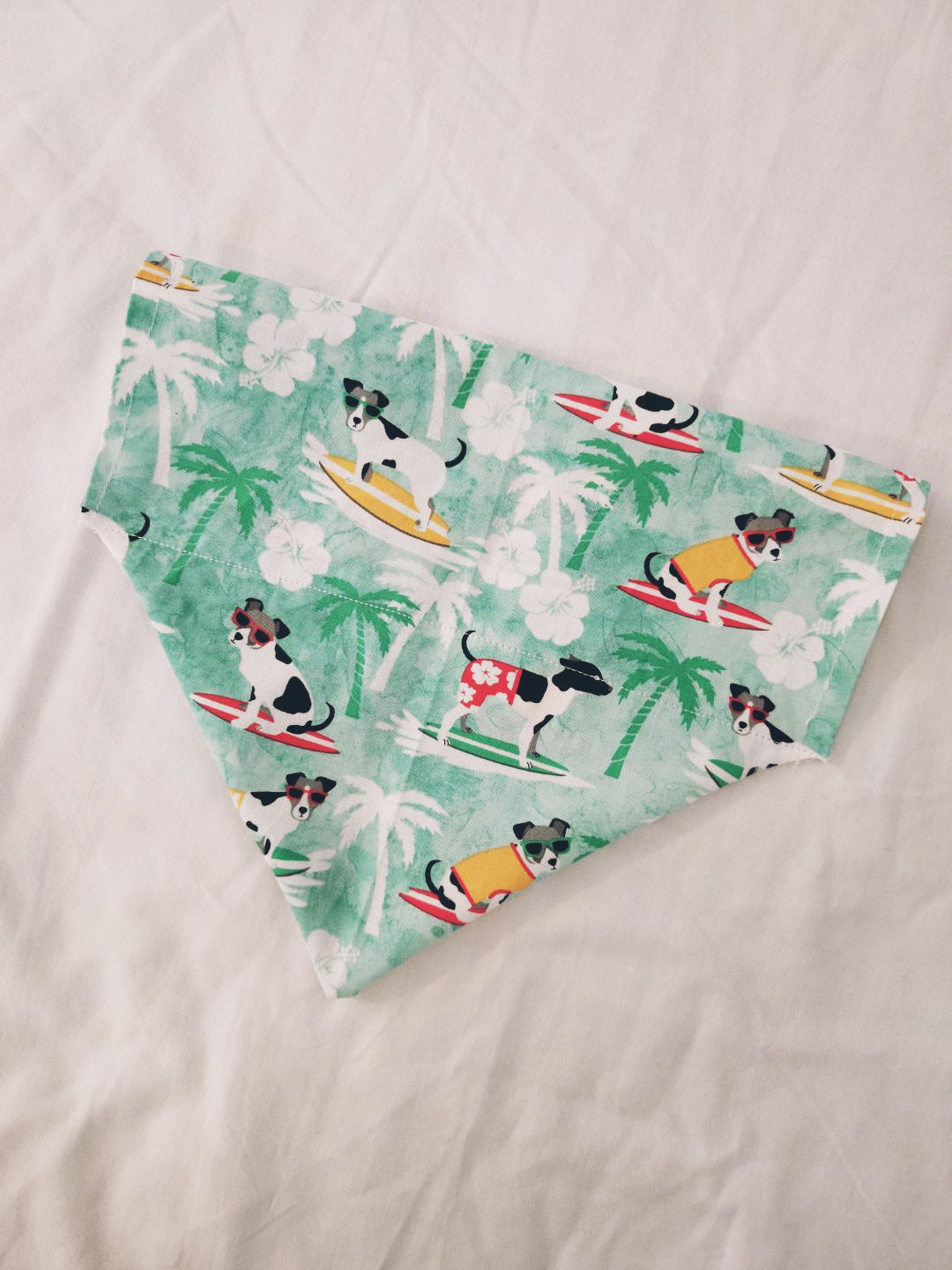 Surf n' Dawg