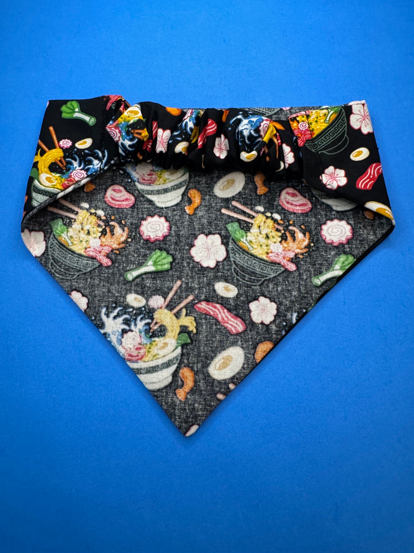 Pawsitively Ramen-licious