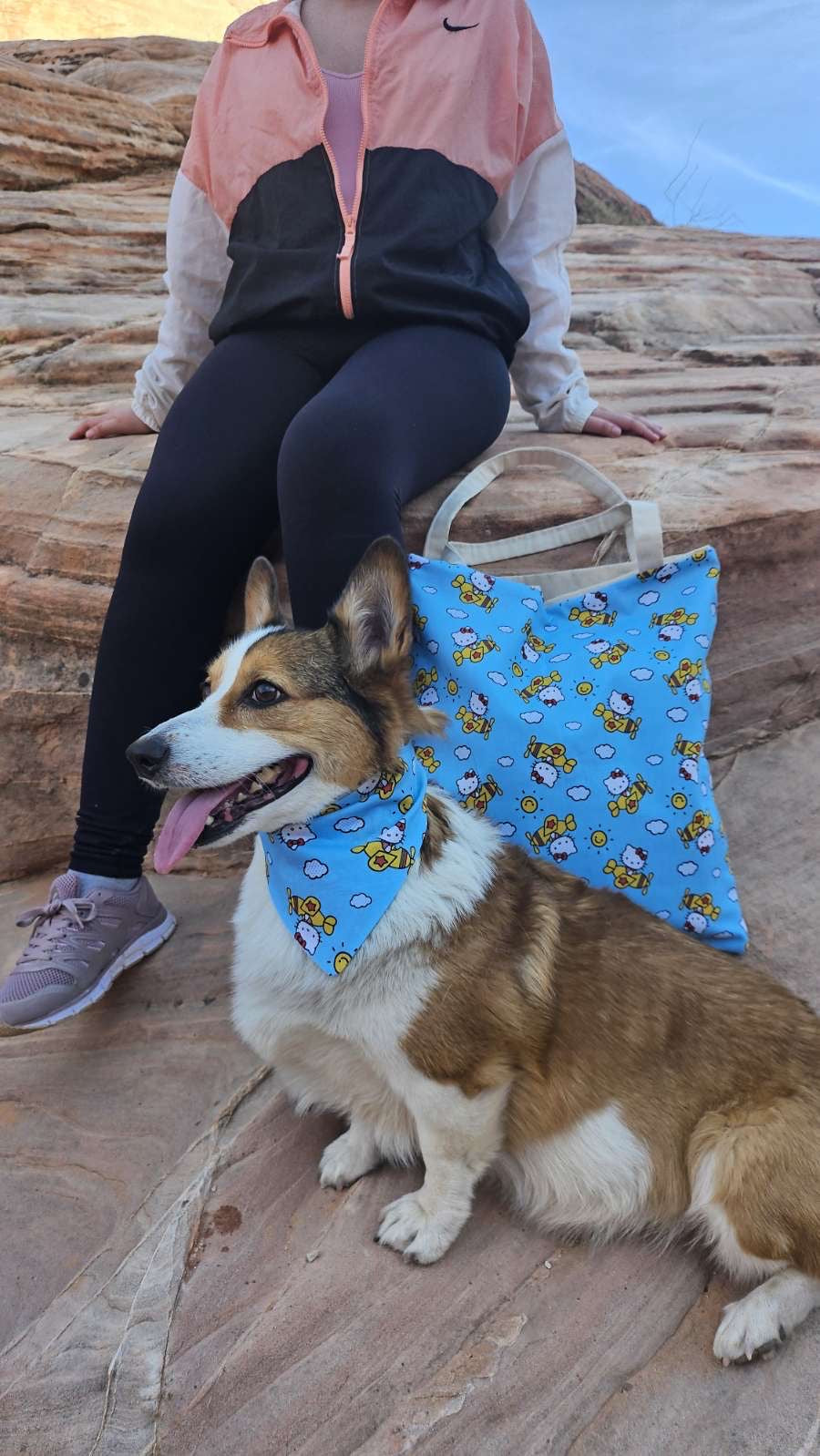 Sky High Kitty Tote Bag